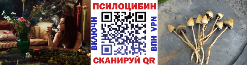Псилоцибиновые грибы MAGIC MUSHROOMS  Орёл 
